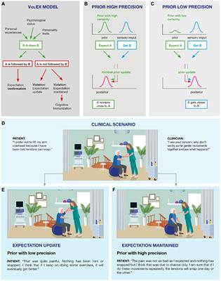 Unraveling Negative Expectations and Nocebo-Related Effects in Musculoskeletal Pain